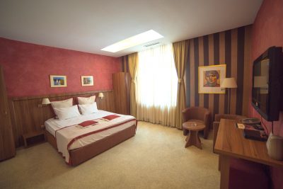 Camera Dublă Standard Hotel Gott